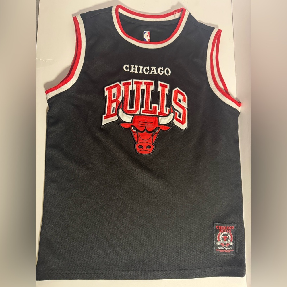 Chicago Bulls Jersey / Youth Size14/16 - Embroidered Bull